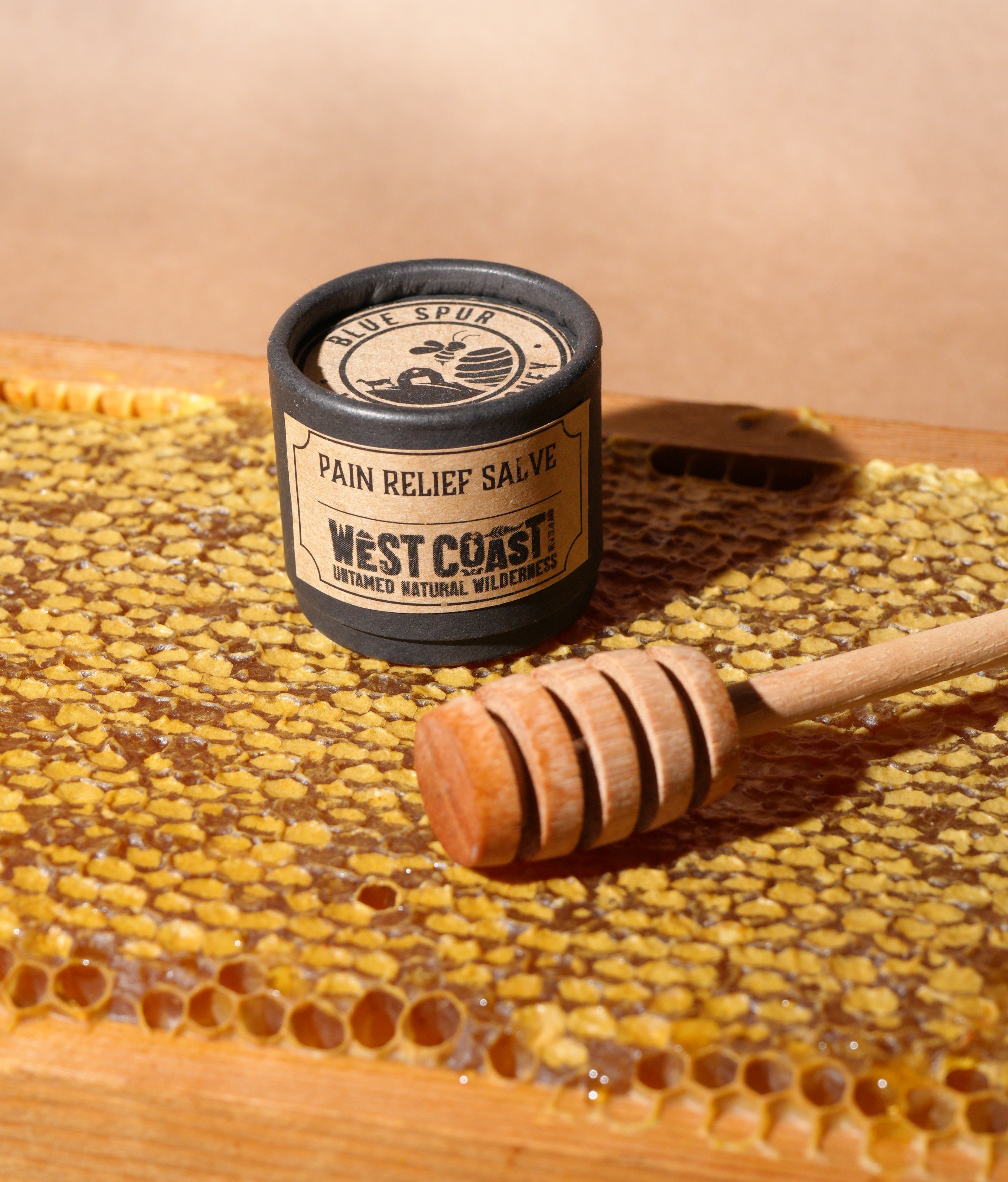 Pain Relief Salve - 20gm