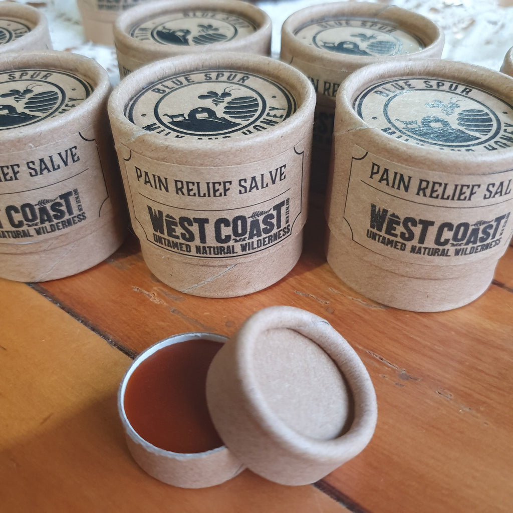 Pain Relief Salve - 20gm